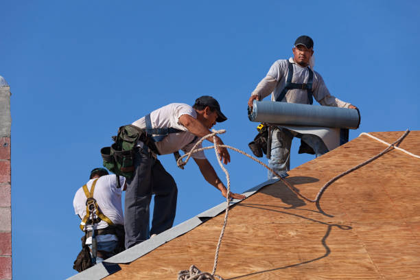 Best Roof Leak Repair  in Dalhart, TX