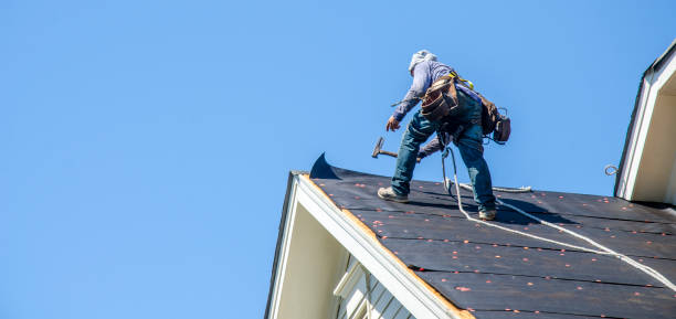 Best Roof Gutter Cleaning  in Dalhart, TX